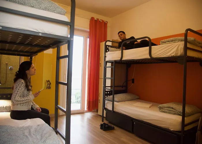 Sunflower City Student Hostel & Bar